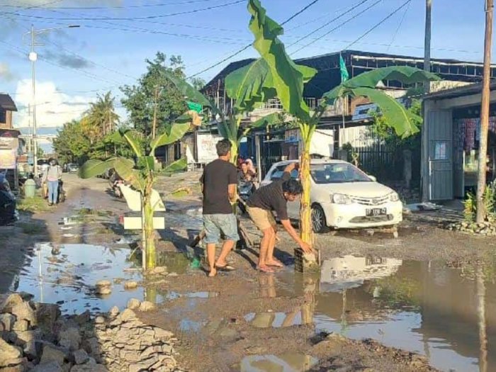 Ngamuk! Tiga Tahun Jalan Rusak Tak Diperbaiki, Warga Tanam Pohon Pisang di Tengah Jalan