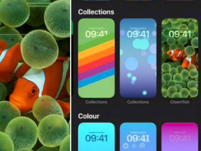 Wallpaper Clownfish di iPhone bakal Hadir Kembali, Ada yang Notice? 