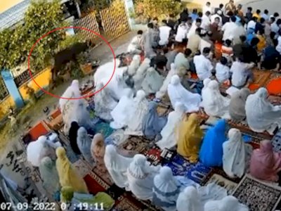 Detik-detik Hewan Kurban Lepas Bikin Jemaah Sholat Idul Adha Berhamburan di Padang