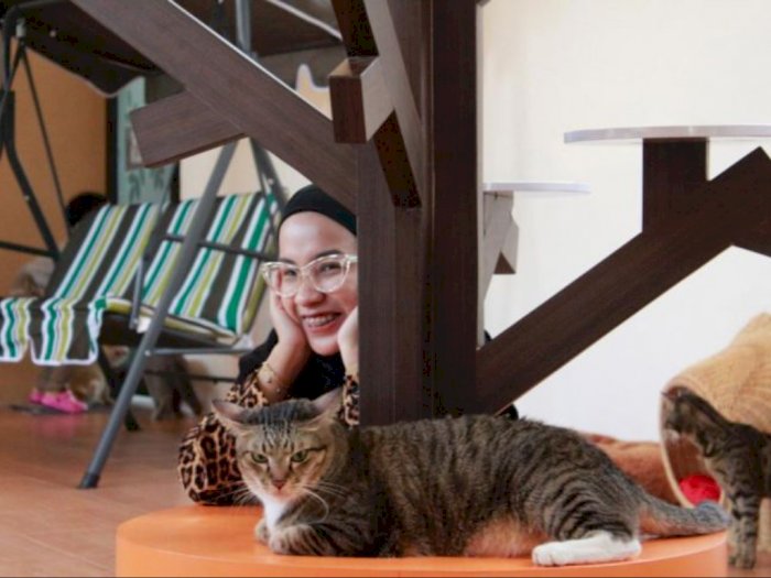 Asyik! Jember Mini Zoo Buka Wahana Baru Bagi Pencinta Kucing: Bisa Santai Bareng Anabul