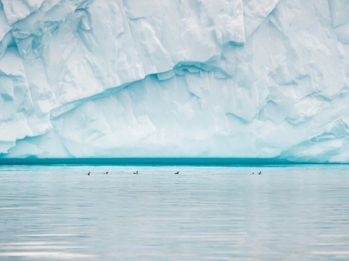 Iceberg, Gunung Es yang Ditabrak Kapal Titanic, Apa Itu?