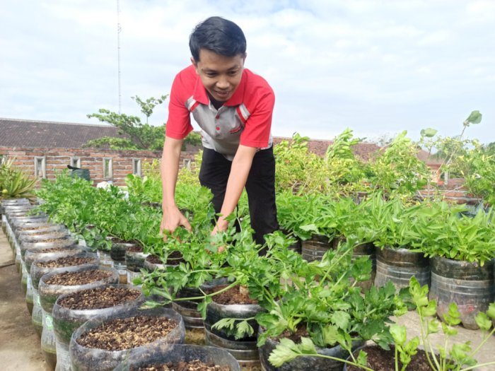 Salut! Guru SMK Bertani Sayur di Atap Rumah, Hasil Panennya untuk Sedekah!