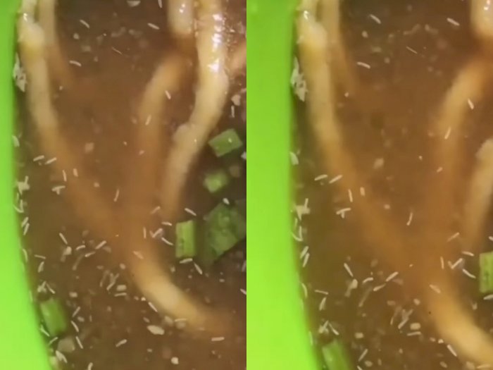 Viral Kuah Bakso Penuh dengan Telur Lalat, Netizen: Jeruk Nipis Itu