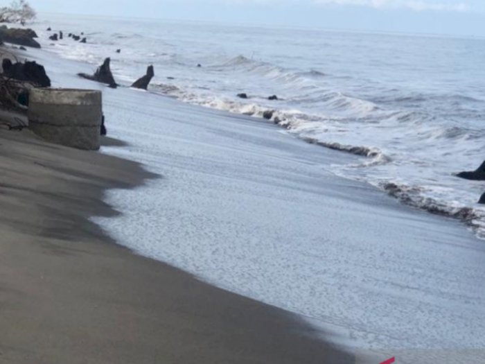 Akibat Gelombang Pasang, Pantai Masang Agam Sumber Abrasi Sepanjang Satu Kilometer