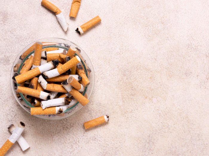 4 Fakta Menarik Nikotin di Balik Banyaknya Anggapan Jadi Pemicu Utama Penyakit Berbahaya