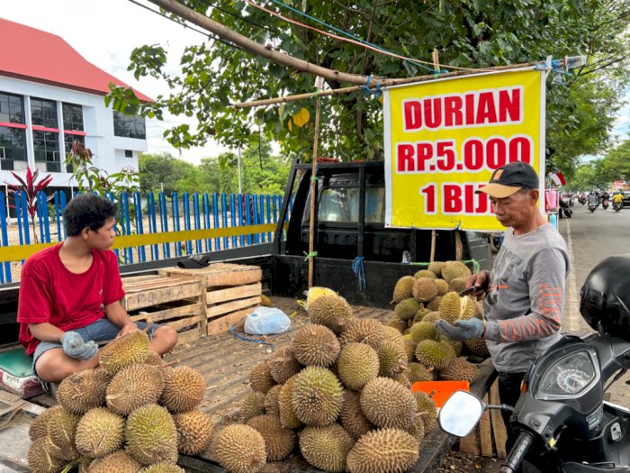 Musim Durian Tiba! Di Kota Ini Harganya Cuma Rp5 Ribu Per Biji, Tertarik Beli?