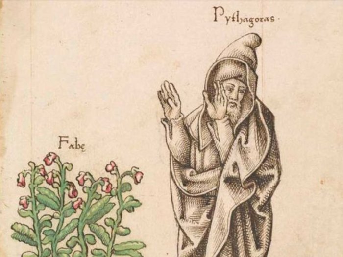 Tingkah Laku Aneh Phytagoras, Anggap Tanaman Kacang sebagai Gerbang Reinkarnasi