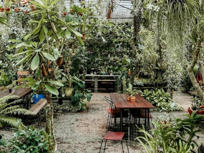 Ngopi di Kafe Ini Serasa Lagi di Tengah Kebun, Suasanya Asri Banget Makanannya Juga Murah 