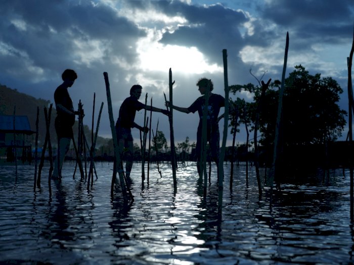 Keren! Jadi Surganya Wisatawan, Belitung Bakal Jadi Destinasi Wisata Mangrove Dunia