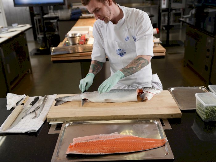 Satu Ekornya Mencapai Rp1,5 Juta, Ternyata Ini Penyebab Harga Ikan Salmon Mahal