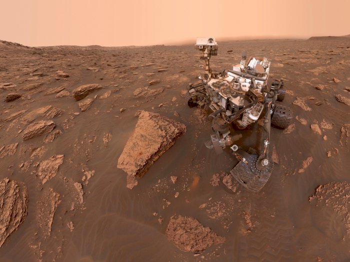 Gak Disangka, Tanaman Ini Ternyata Bisa Tumbuh di Planet Mars Lho!