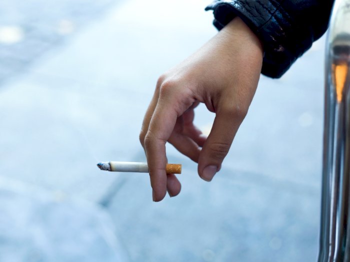 Perokok Dewasa Perlu Dikenalkan Tembakau Alternatif agar Bisa Lepas dari Kecanduan