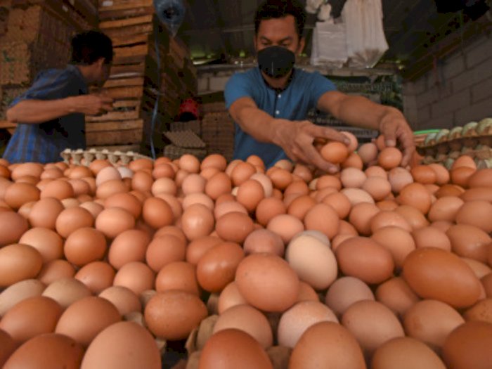 Harga Telur di Jakarta Naik! Anak Buah Anies Beberkan Penyebabnya