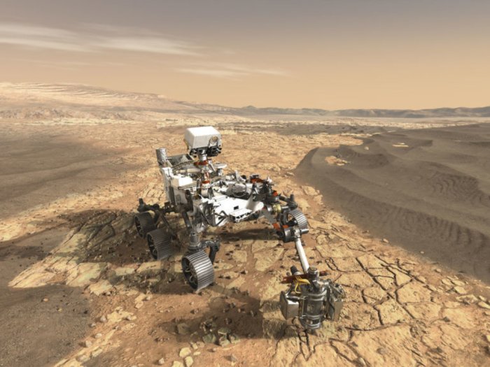 Ilmuwan Klaim Tanah di Mars Bisa Ditumbuhi Tanaman Hijau, Ini Jenis-jenisnya