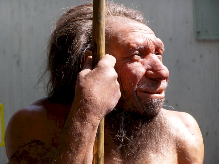 Kawin Silang dengan Neanderthal, Ada Manusia Modern yang Wajahnya Tampak Aneh