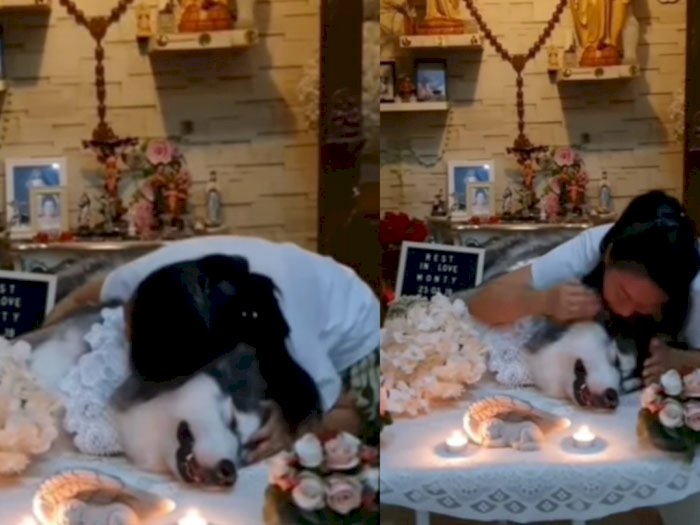 Momen Pilu Seorang Wanita Ditinggal Anjing Kesayangan Untuk Selamanya: Rest In Love Monty