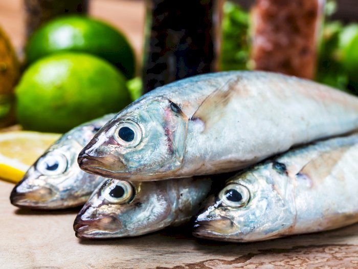 Konsumsi Ikan Dapat Menyebabkan Kanker Kulit, Kok Bisa? Begini Penjelasan Para Ahli