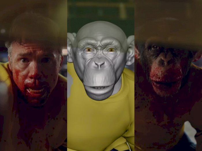 Adegan Gordy, Simpanse yang Ngamuk di Film 'Nope' Nyeremin Banget di Balik Layar
