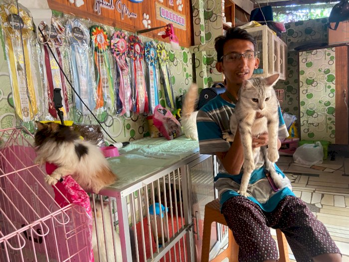 Gara-gara Kucing, Pria di Ponorogo Dapat Istri dan Uang, Kisah Percintaannya Lucu Banget! 