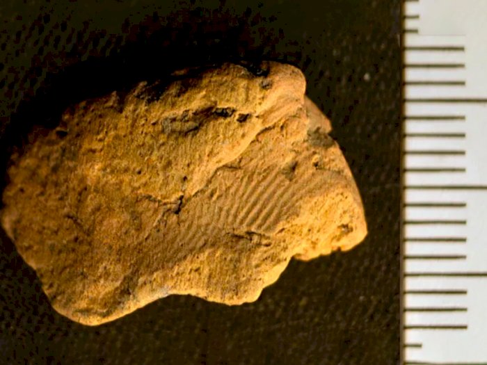 Penampakan Sidik Jari Kuno Unik yang Ditemukan 7000 SM, Tercetak di Atas Batu Bata