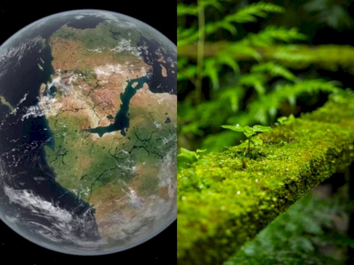 Gegara Evolusi Tumbuhan Darat, Komposisi Makhluk Hidup di Bumi Berubah