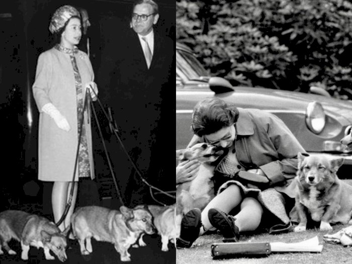 Kisah Kecintaan Ratu Elizabeth II kepada Anjing Corgi, Bermula dari Hadiah Kecil sang Ayah