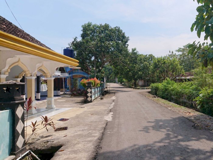 Curhat Warga Kampung Janda di Gunungkidul, Kesal Selalu Dikaitin Sama Image Pelakor