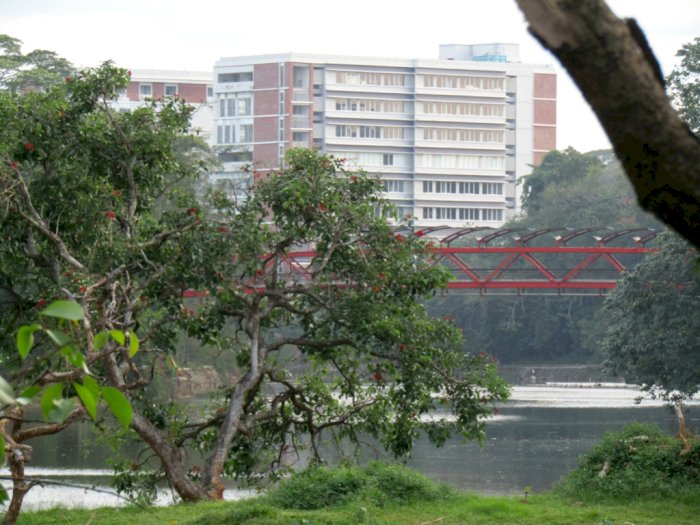 Penampakan Kuntilanak Terbalik di Jembatan Merah UI, Suka Melotot ke Mahasiswa yang Lewat