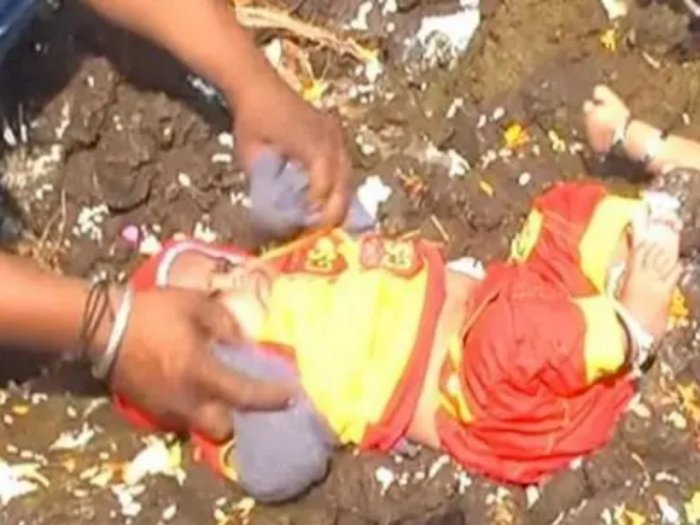 Bayi di India Bakal Dilempari Kotoran Sapi Biar Beruntung, Katanya Ritual setelah Diwali
