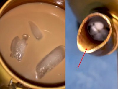 Bikin Es Kopi di Dalam Teko, Pria Ini Batal Minum Gegara Ada Telur Cicaknya: Kayak Sukro!