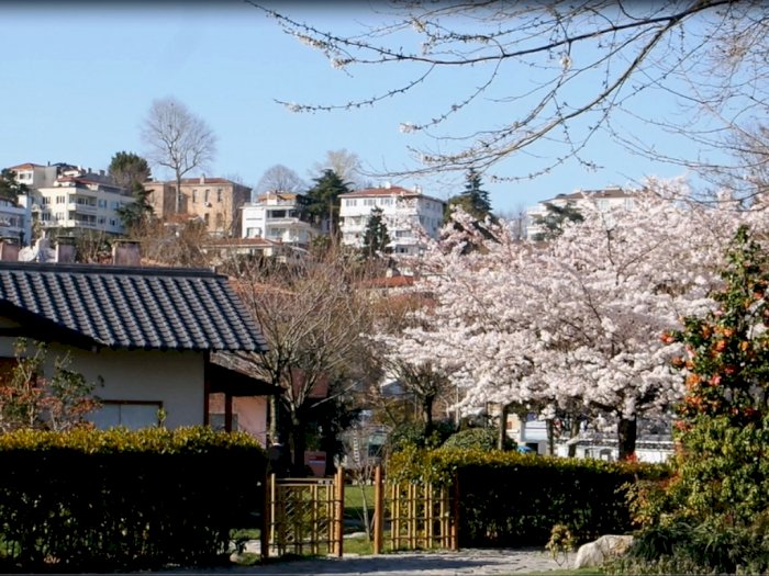 Ada Taman Jepang di Tengah Kota Istanbul, Vibe-nya Mirip dengan Negeri Matahari Terbit