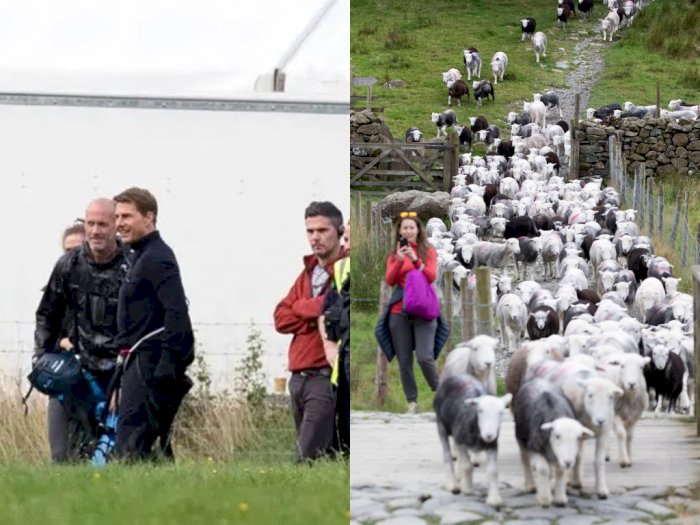 Ratusan Domba Serbu Lokasi Syuting 'Mission: Impossible 8', Tom Cruise Cuma Bisa Ketawa