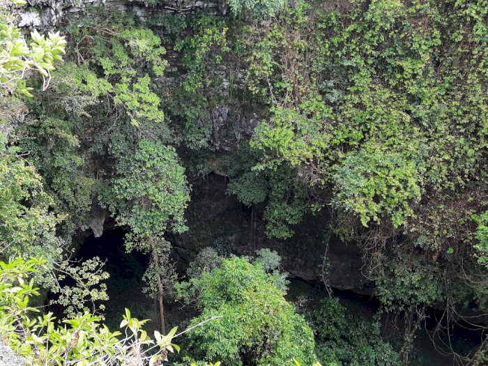 Gua Jomblang, Dulunya Tempat Jasad PKI Dibuang Kini Jadi Lokasi Wisata di Gunungkidul