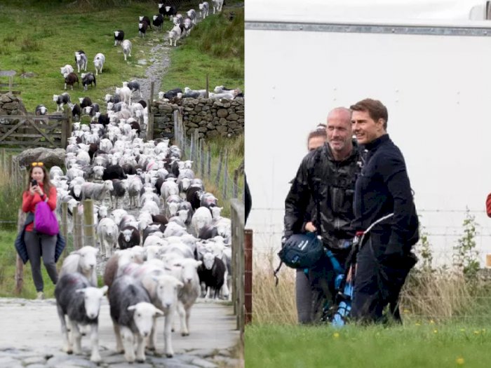 Kru 'Mission: Impossible 8' Biarkan Ratusan Domba Cari Makan di Lokasi Syuting
