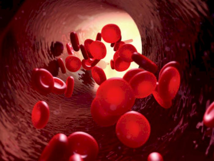 Hemoglobin Tinggi: Mengenali Gejala dan Risikonya