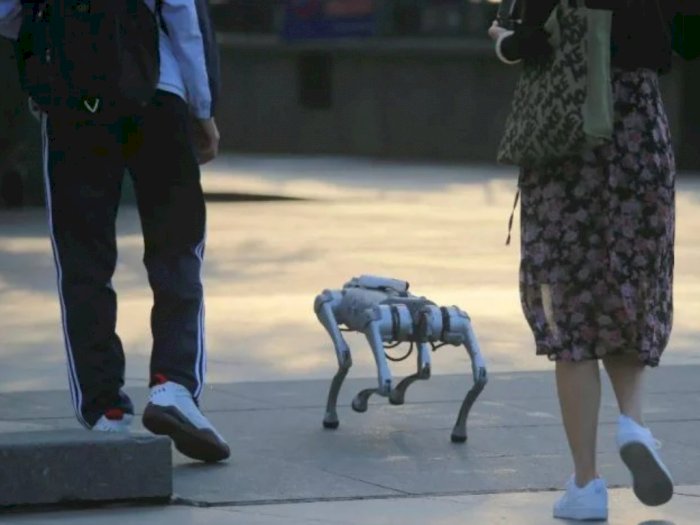 Warga China Punya Tren Baru: Ajak Robot Anjing Jalan-jalan