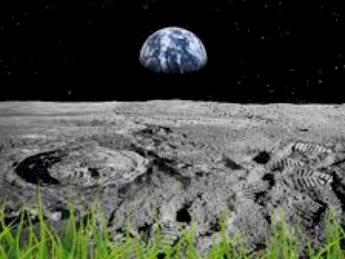 Ilmuwan Australia Berencana Bercocok Tanam di Bulan pada 2025, Pakai Metode Apa?