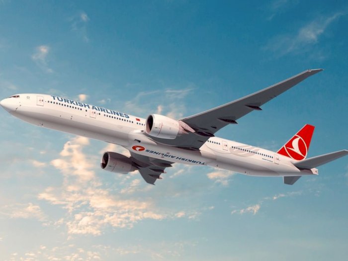 Penumpang yang Pukul Kru Pesawat Turkish Airlines Terancam Penjara dan Denda Rp100 Juta