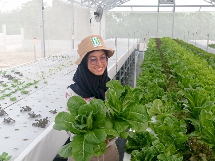 Keren Banget! Alumni IPB Ini Bikin Inovasi Sistem Tanam Sayuran Pertama di Riau