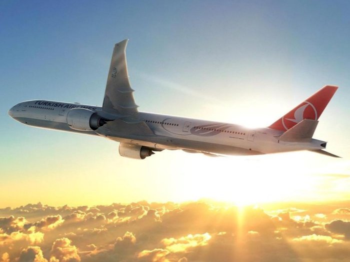 Fakta-fakta Penumpang Turkish Airlines yang Pukul Kru Pesawat