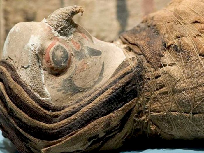 Penemuan Mumi Elang Tanpa Kepala di Mesir, Diduga Pernah Jadi Bahan Ritual Kuno Romawi