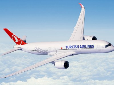 Bantah Mabuk, Penumpang Turkish Airlines Sebut Anjing Jadi Pemicu Keributan