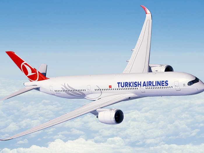 Bantah Mabuk, Penumpang Turkish Airlines Sebut Anjing Jadi Pemicu Keributan