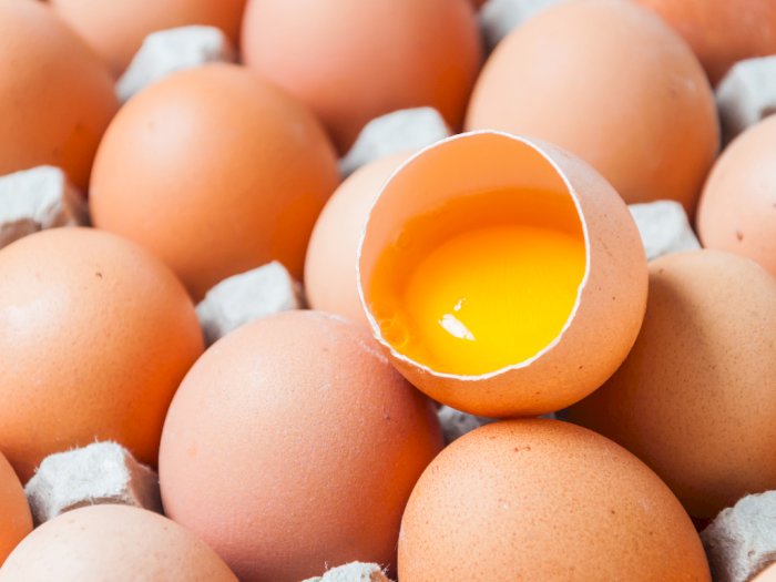 Makan Telur Bisa Bikin Bisulan, Mitos atau Fakta?