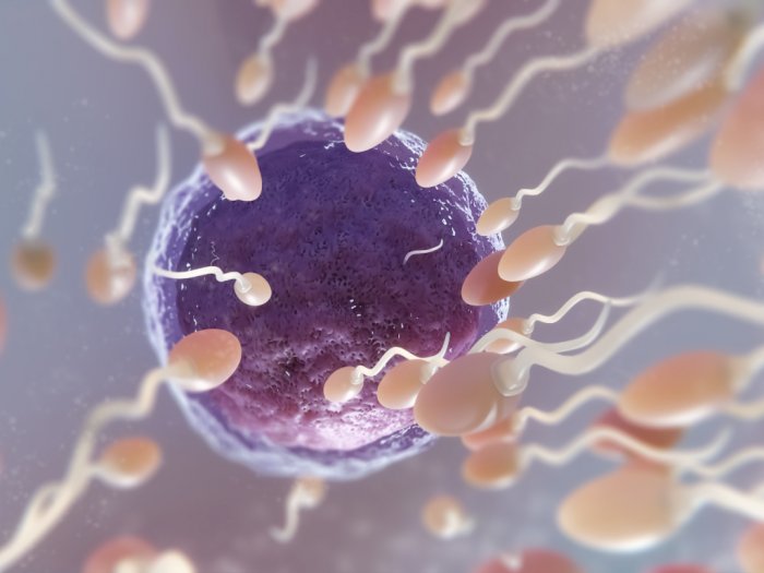 Studi Sebut Pria Bisa Alergi Sperma Sendiri, Gejalanya Batuk hingga Demam