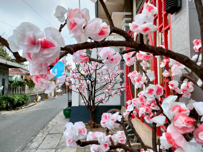 Menakjubkan! Enggak Hanya di Jepang, Kampung Sakura Ternyata Juga Ada di Kota Batu