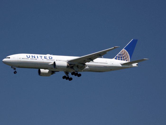 Muncul Ular di Pesawat United Airlines, Penumpang Panik dan Terjadi Turbulensi