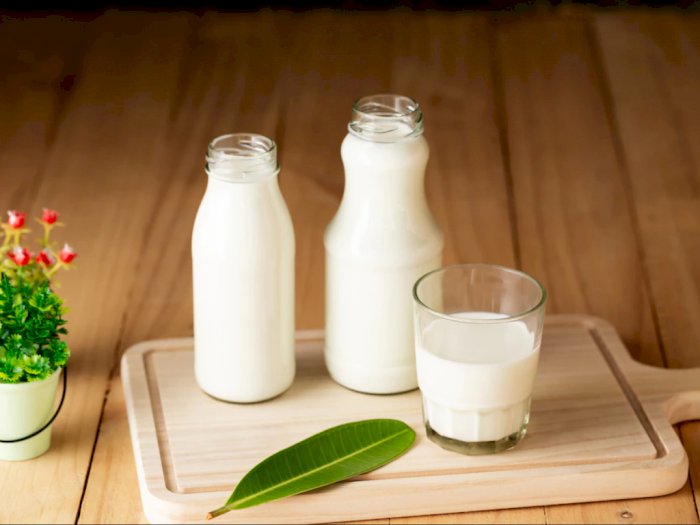 9 Macam-macam Susu yang Perlu Kamu Ketahui Sebelum Mengonsumsinya!