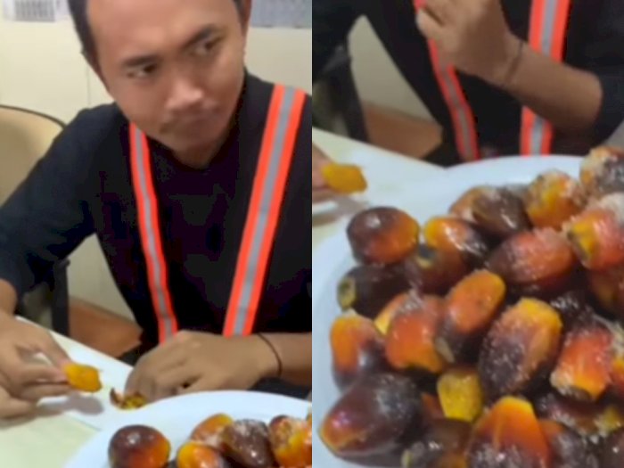 Viral, Karyawan Perkebunan Sawit Asyik Makan Buah Sawit: Kurma Indo Nih Bos!