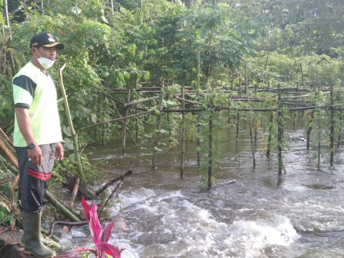 Viral Penampakan Jenazah Muncul dari Permakaman di Tulungagung Usai Tersapu Banjir